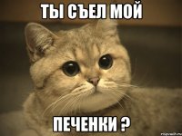 Ты съел мой Печенки ?