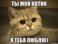 ты мой котик я тебя люблю)