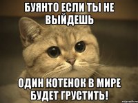 Буянто если ты не выйдешь Один котенок в мире будет грустить!