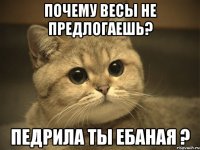 Почему весы не предлогаешь? Педрила ты ебаная ?