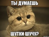 ты думаешь шутки шучу?