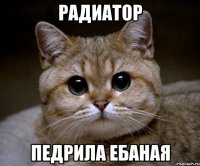 рАДИАТОР ПЕДРИЛА ЕБАНАЯ