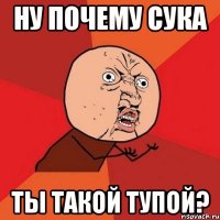 ну почему сука ты такой тупой?