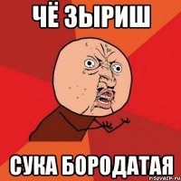 чё зыриш сука бородатая