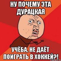 Ну почему эта дурацкая Учёба, не даёт поиграть в хоккей?!