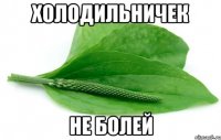 холодильничек не болей