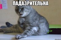 падазрительна 