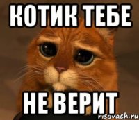 КОТИК ТЕБЕ НЕ ВЕРИТ