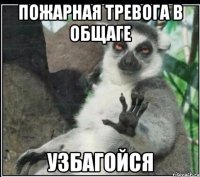 Пожарная тревога в общаге узбагойся
