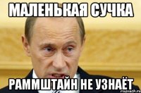 маленькая сучка раммштайн не узнаёт