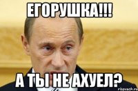 Егорушка!!! А ты не ахуел?