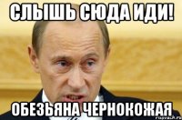 СЛЫШЬ СЮДА ИДИ! ОБЕЗЬЯНА ЧЕРНОКОЖАЯ