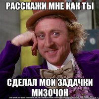 Расскажи мне как ты сделал мои задачки Мизочон