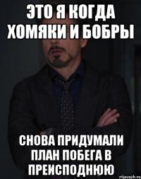 Это я когда хомяки и бобры Снова придумали план побега в Преисподнюю