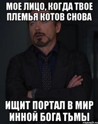 Мое лицо, когда твое племья котов снова Ищит портал в мир инной Бога тьмы