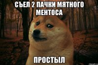 Съел 2 пачки мятного Ментоса Простыл