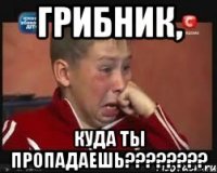 грибник, куда ты пропадаешь????????