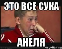 Это все сука Анеля