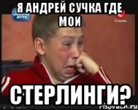 Я Андрей сучка где мои Стерлинги?