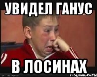 Увидел ГАНУС В лосинах