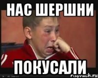 Нас шершни покусали