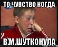 то чувство когда В.М.шутконула