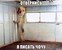 ОТВЕРНИСЬ Я ПИСАТЬ ЧОЧУ