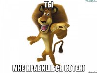 Ты Мне нравишься котен)