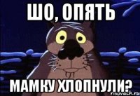ШО, ОПЯТЬ Мамку хлопнули?