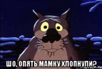  ШО, ОПЯТЬ Мамку хлопнули?