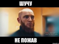 шучу не пожав