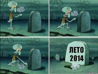 Лето 2014