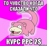 То чувство когда сказали что Курс PPC 2$