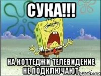 Сука!!! На коттеджи телевидение не подключают