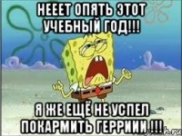 Нееет опять этот учебный год!!! Я же ещё не успел покармить герриии !!!