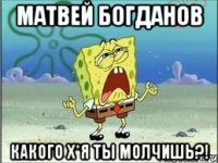 Матвей Богданов Какого х*я ты молчишь?!