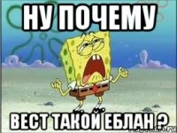 НУ ПОЧЕМУ ВЕСТ ТАКОЙ ЕБЛАН ?