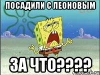 Посадили с леоновым ЗА ЧТО????