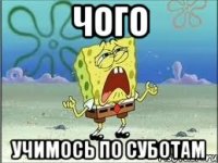 чого учимось по суботам