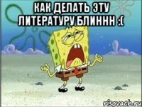 Как делать эту литературу блиннн :( 