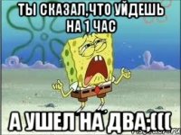 Ты сказал,что уйдешь на 1 час А ушел на два;(((