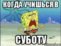 Когда учишься в СУБОТУ