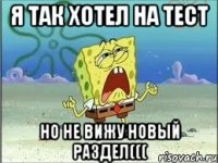 Я так хотел на тест но не вижу новый раздел(((