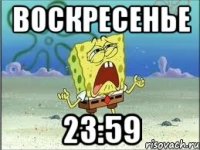 Воскресенье 23:59