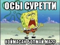 осы суретти коймасан болмай ма??