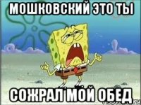 Мошковский это ты сожрал мой обед