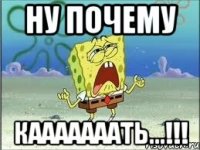 ну почему Кааааааать...!!!