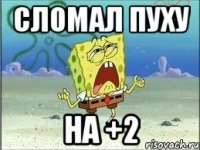 сломал пуху на +2