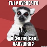 Ты у курсе,что Асёк просто лапушка ?