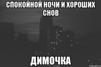 Спокойной ночи и хороших снов Димочка